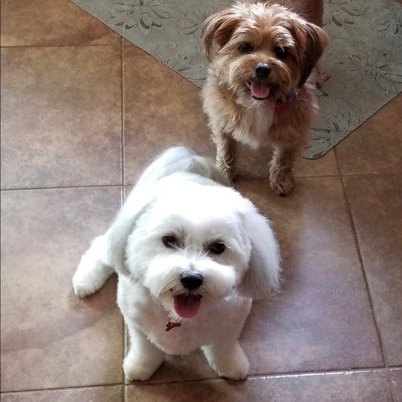 Welcome to my closet!! - Picture 1 of 1